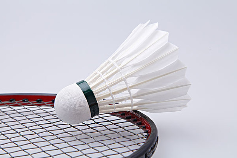 杨瀚森在新 杨瀚森在新