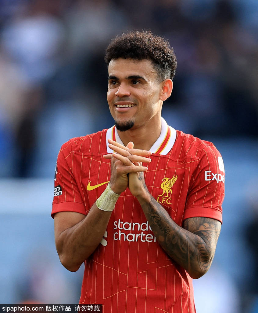 他们在过去 他们在过去