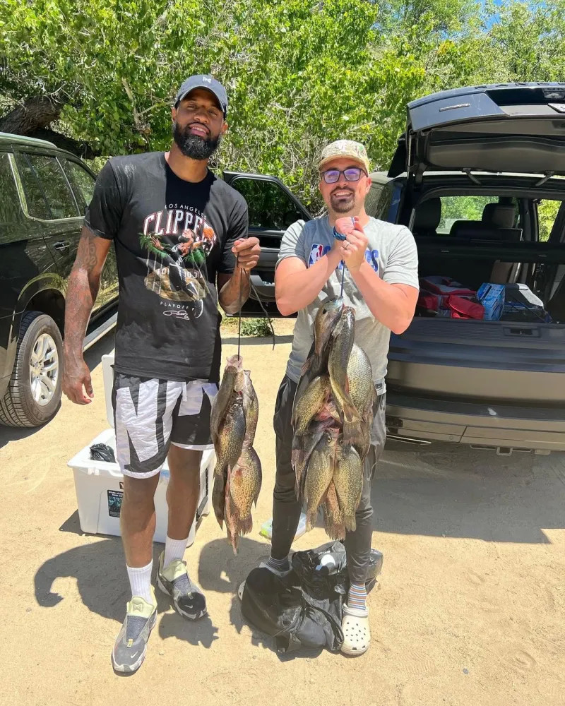 蒂那防线的 蒂那防线的